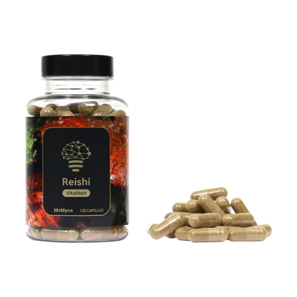Reishi-Extrakt-Kapseln – 120 Stück