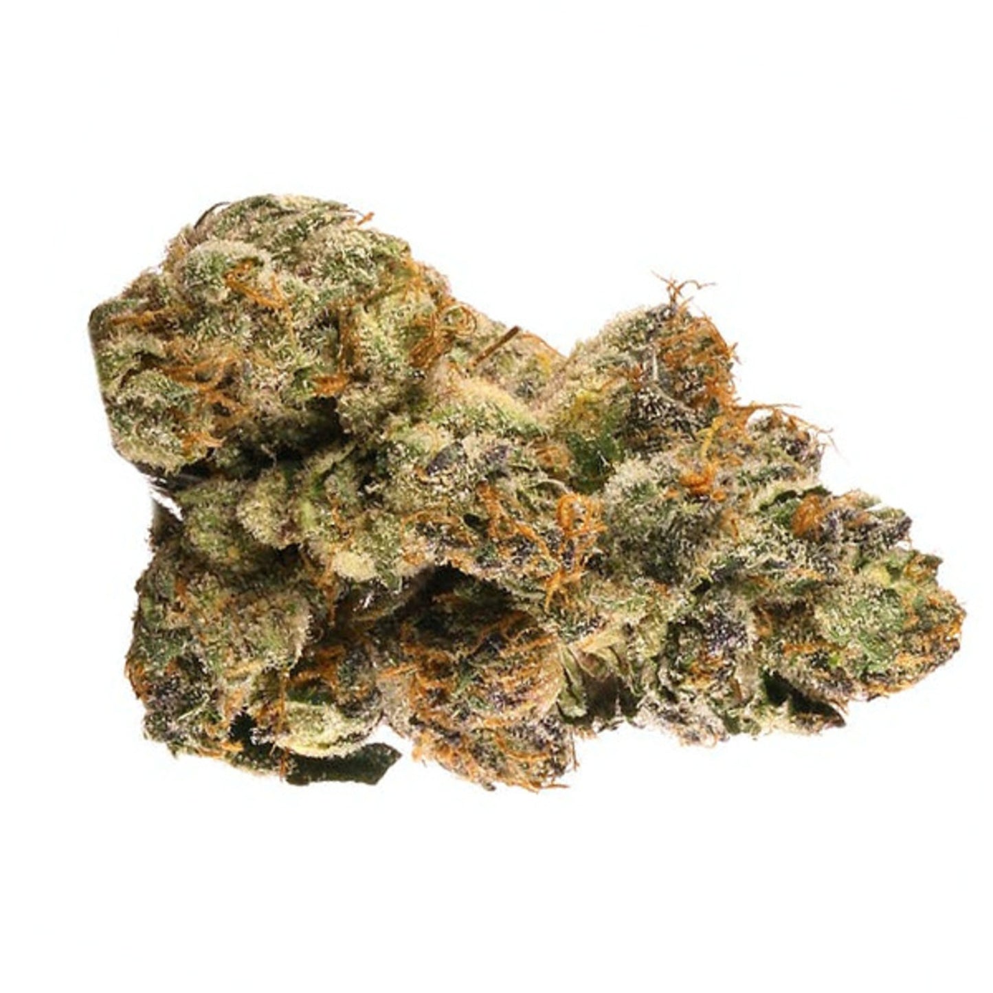 Auto Gelato #33 - 5 cannabis zaden