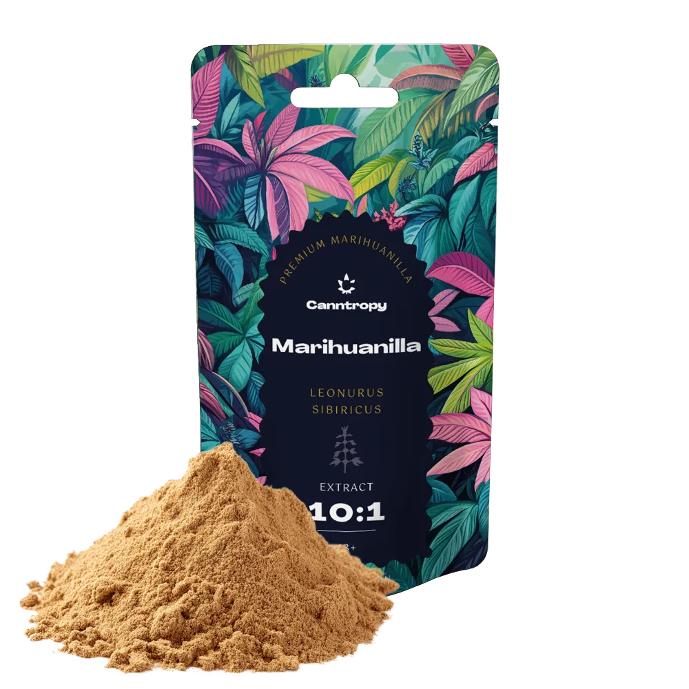 Canntropy Marihuanilla (Leonurus sibiricus) Extract 10:1 – 5 g