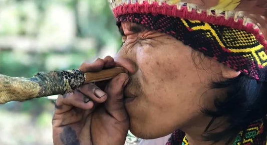 Yawanawa-stam en hun gebruik van Rape