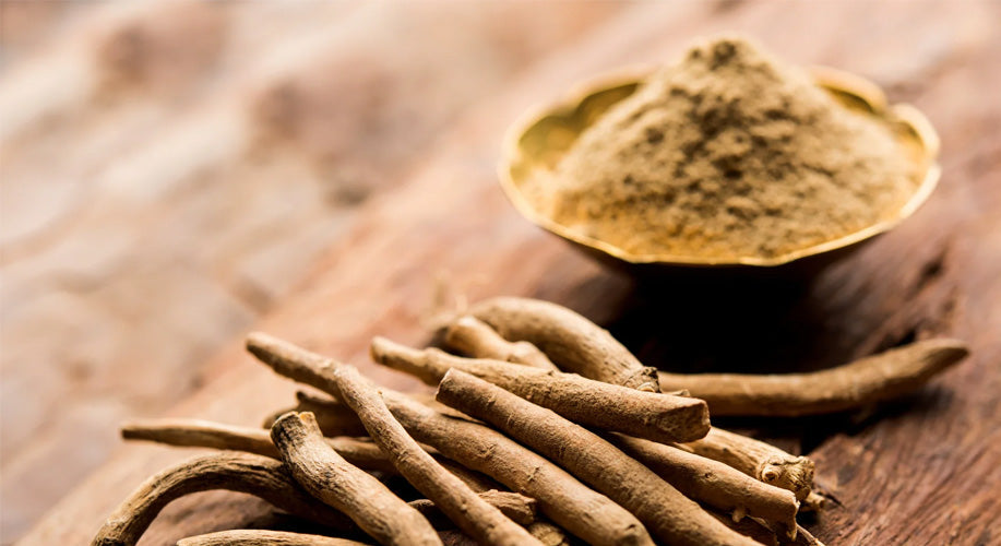 Ashwagandha – Wat is het en waarom is het zo populair?