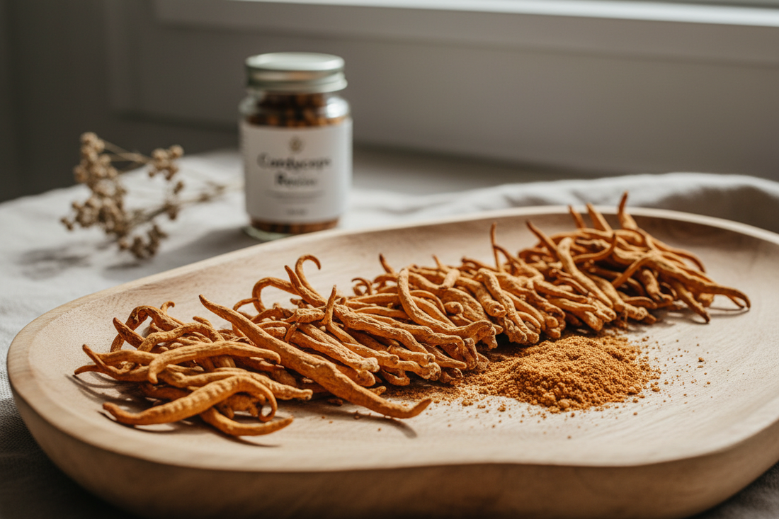 Cordyceps paddenstoel: wat is het en waarom zo populair? | Focus Maastricht