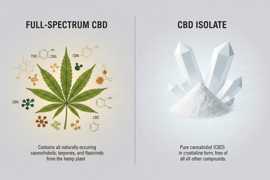 Full-spectrum vs isolaat CBD: wat is beter voor jou?