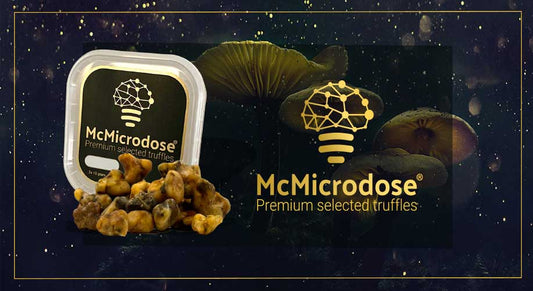"Navigating Life's Micro Moments: The Art of Microdosing"