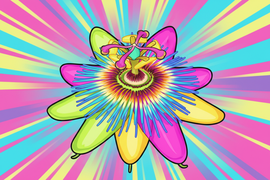 Passiebloem: werking, effecten en verantwoord gebruik