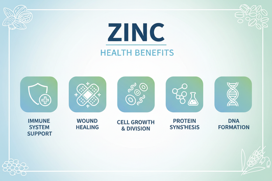 Zink: Een Complete Gids Over Het Essentiële Mineraal en Zijn Rol in Een Bewuste Leefstijl
