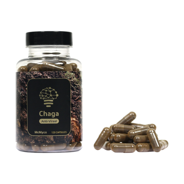 Chaga-Extrakt-Kapseln – 120 Stück