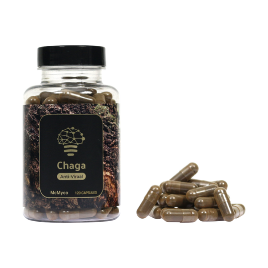 Chaga-Extrakt-Kapseln – 120 Stück