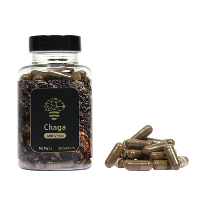 Chaga-Extrakt-Kapseln – 120 Stück