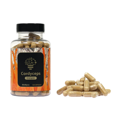 Cordyceps-Extrakt-Kapseln – 120 Stück
