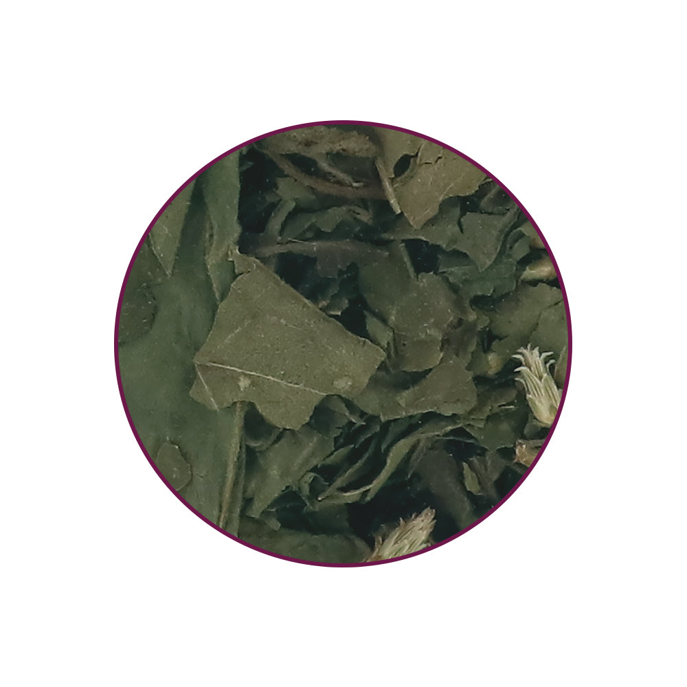 🌼 DreamHerb 30 gram – traditioneel botanisch blad & bloem