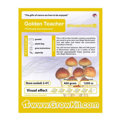 Golden Teacher Grow Kit – 2100 cc