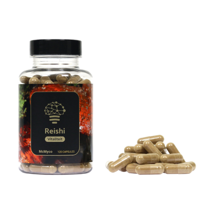 Reishi-Extrakt-Kapseln – 120 Stück