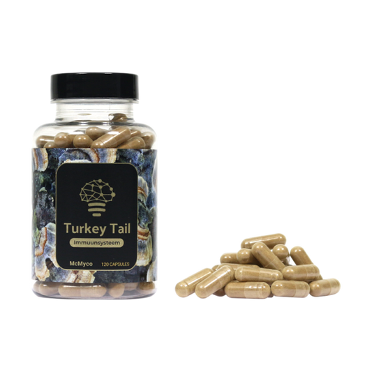 Turkey Tail extract capsules – 120 stuks