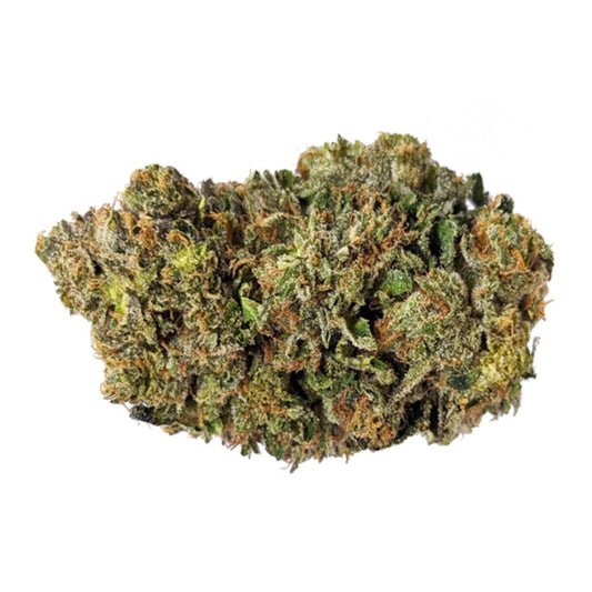 Bruce Banner - 5 Cannabissamen