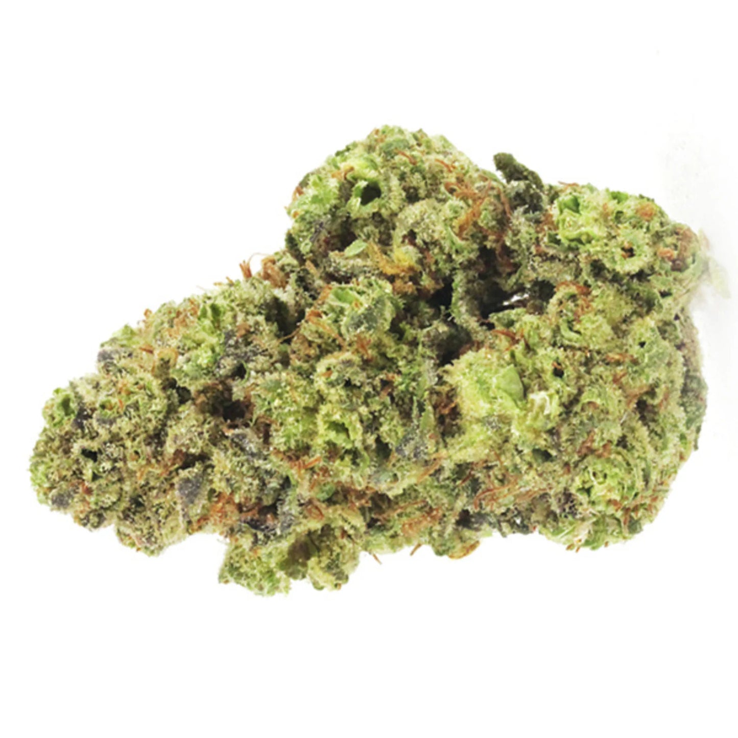 GVO-Kekse – 5 Cannabissamen