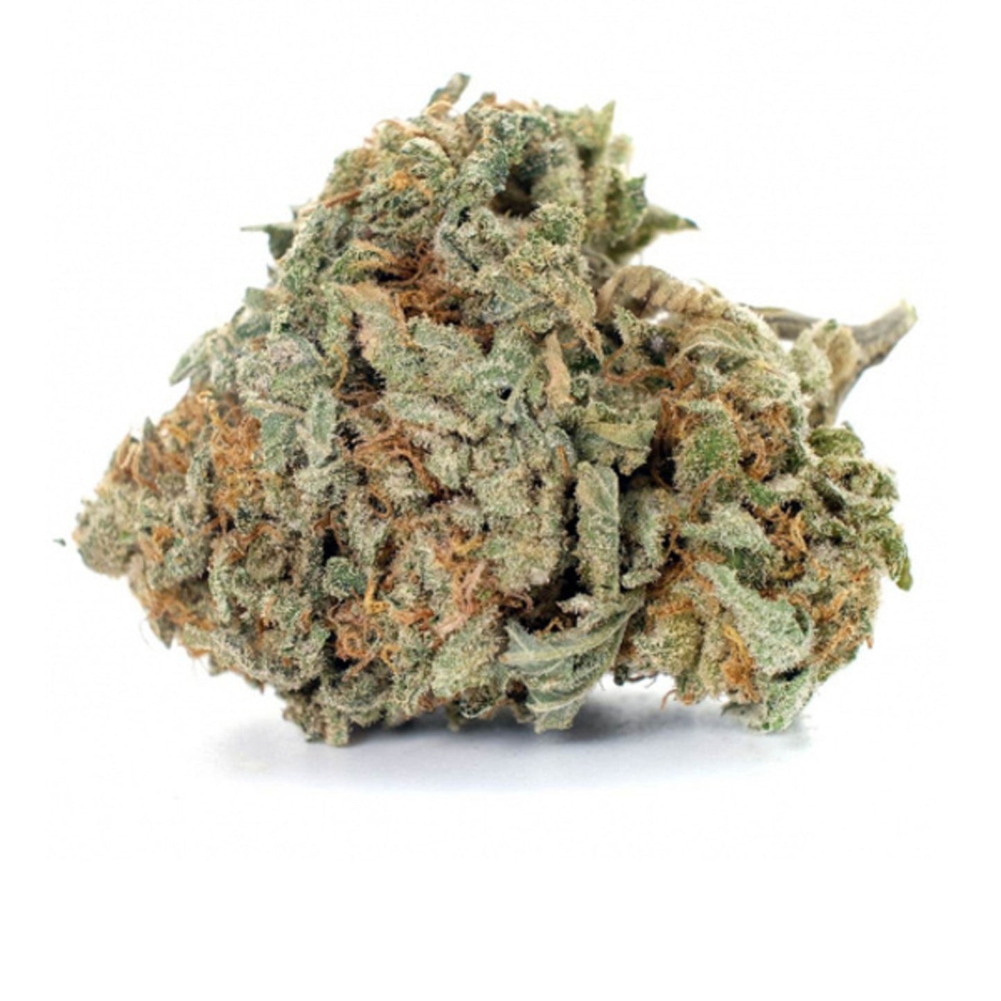 Gorilla Glue #4 - 5 cannabis zaden