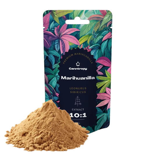Canntropy Marihuanilla (Leonurus sibiricus) Extract 10:1 – 5 g