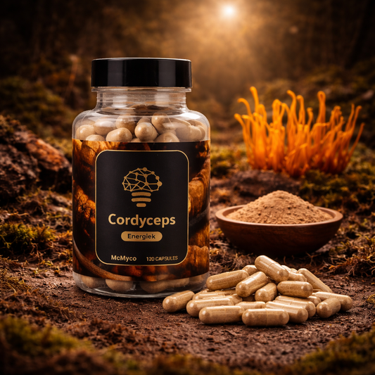 Cordyceps-Extrakt-Kapseln – 120 Stück