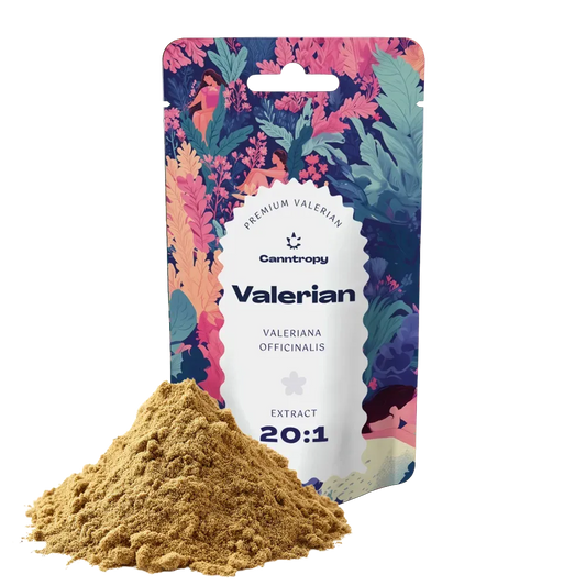 Canntropy Valerian (Valeriana officinalis) Extract 20:1 – 5 g