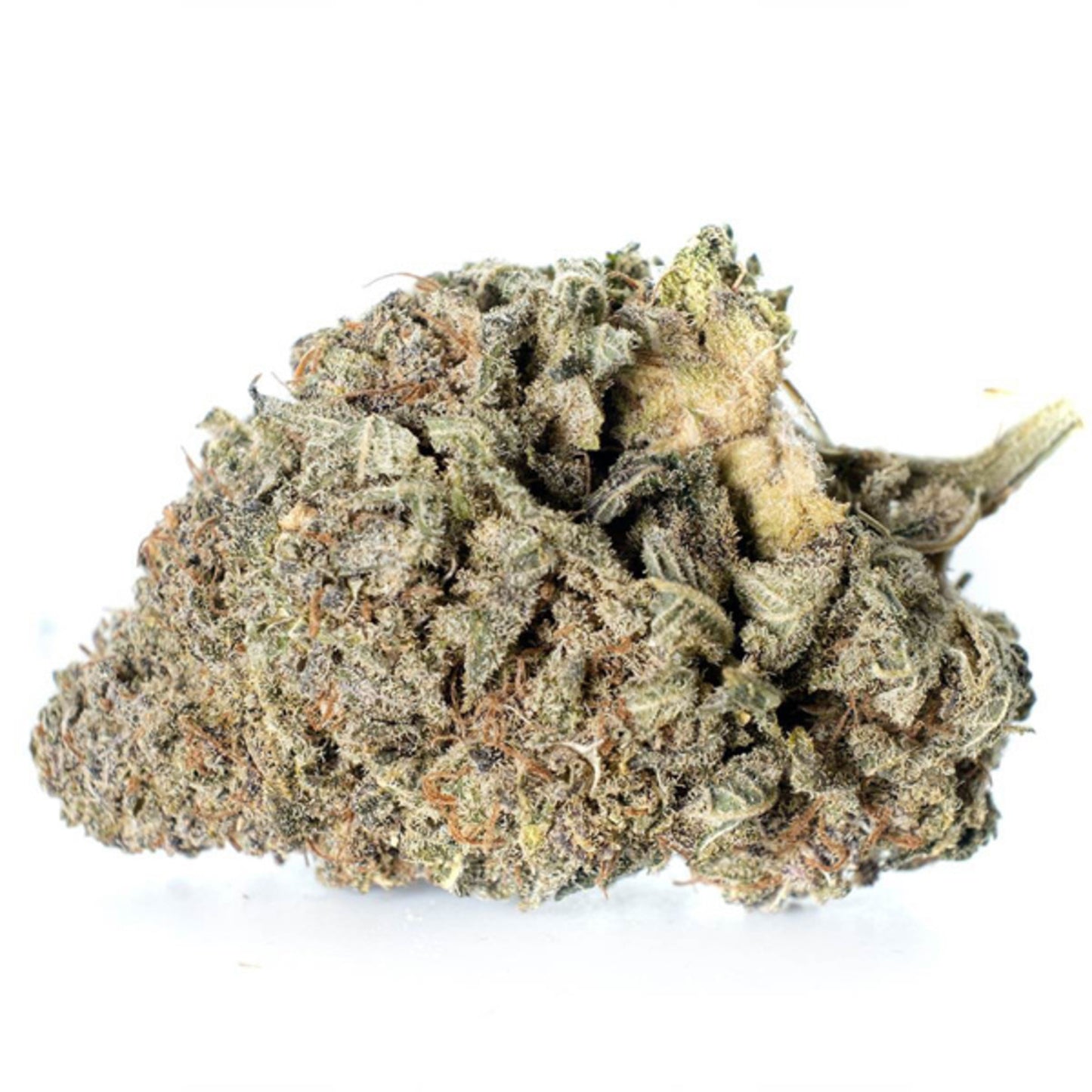 Zkittlez - 5 cannabis zaden